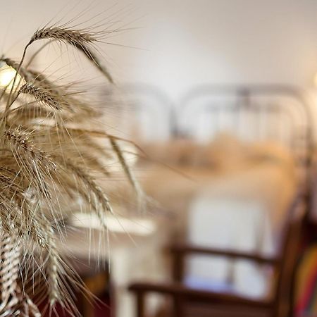 Finca Las Margaritas Chicoana 部屋 写真