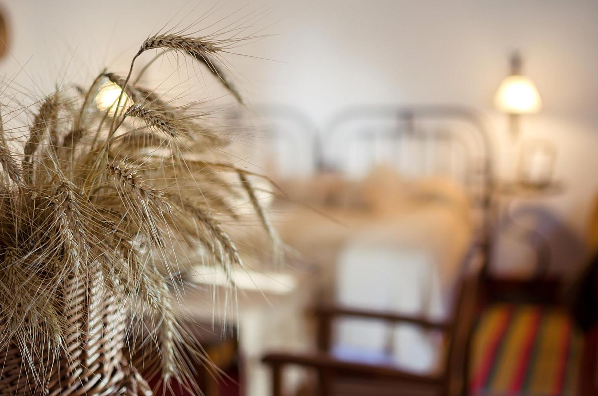 Finca Las Margaritas Chicoana 部屋 写真