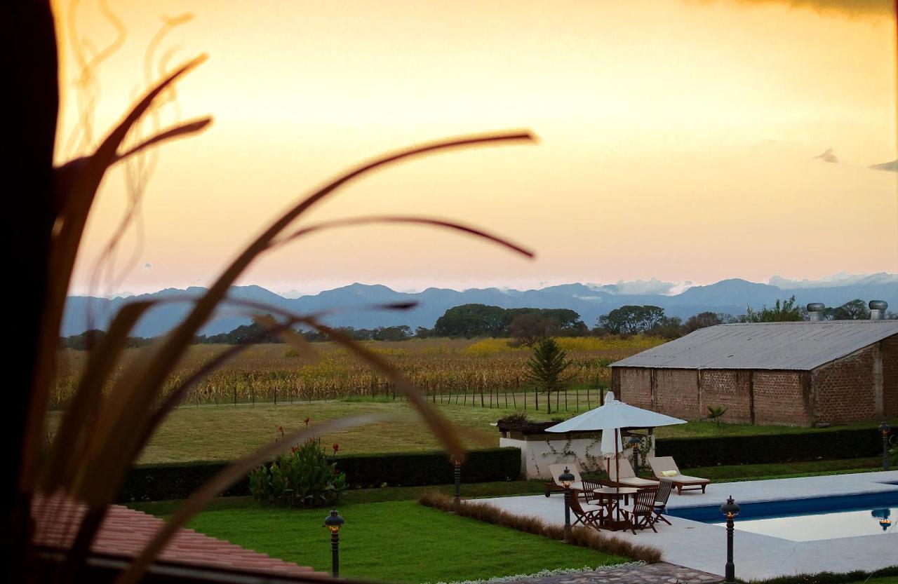 Finca Las Margaritas Chicoana エクステリア 写真